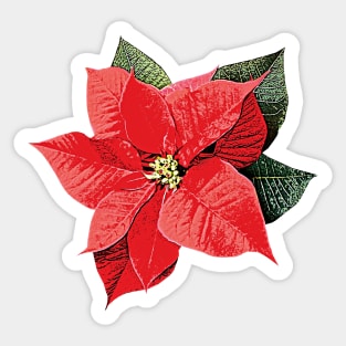 One Poinsettia Sticker